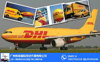 大洋洲高效物流紐帶 奧克蘭惠靈頓空運代理、新西蘭空運公司與澳大利亞貨代物流